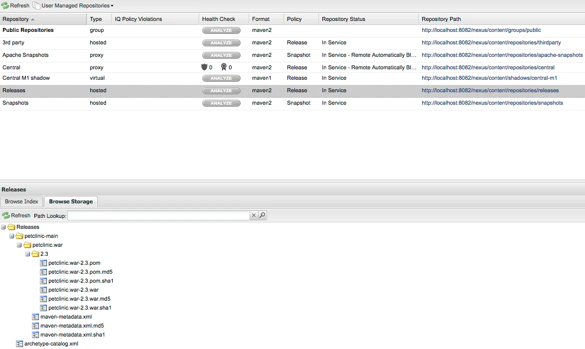Screenshot of chosen artifacts within the Nexus Repository Manager.