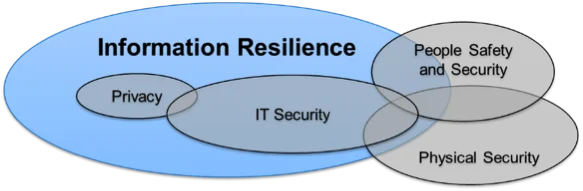 2721_information-resilience-in-todays-high-risk-information-economy_1